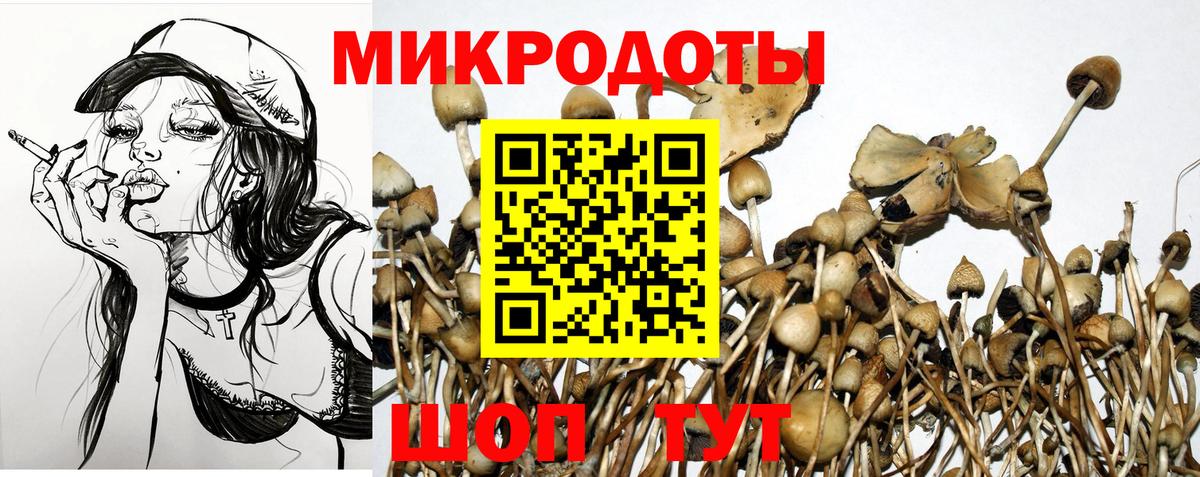 Армавир  Псилоцибиновые грибы мицелий  Вход с VPN 
