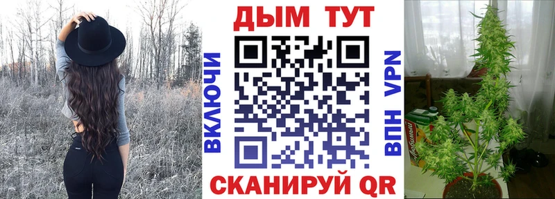 Шишки марихуана индика  купить наркоту  Армавир 